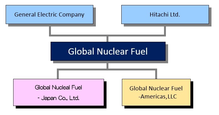 Morphology of the Nuclear Fuel Joint Venture