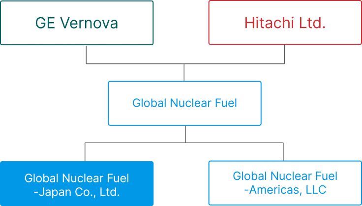 Morphology of the Nuclear Fuel Joint Venture