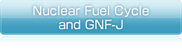 Nuclear Fuel Cycle and GNF-J