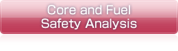 Core and Fuel Safety Analysis