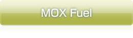 MOX Fuel
