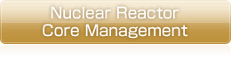 Nuclear Reactor Core Management
