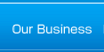 Our Business